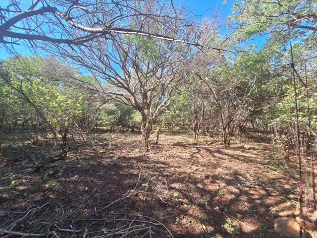 Land for sale in Limpopo