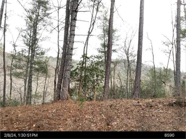 Land for sale in Pickens, Georgia