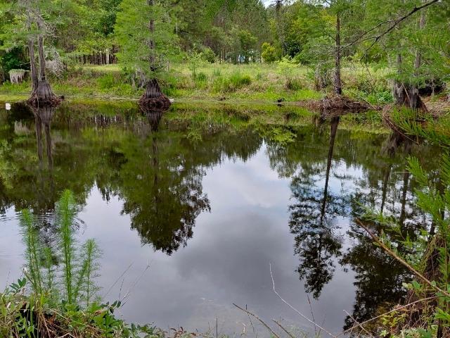 Land for sale in Saint George, Georgia