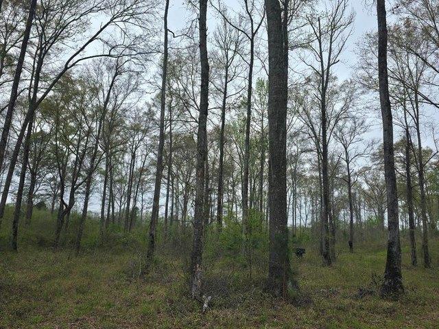 Land for sale in Eufaula, Alabama