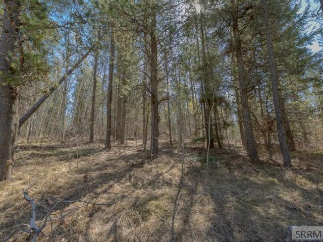 Land for sale in Ashton, Idaho