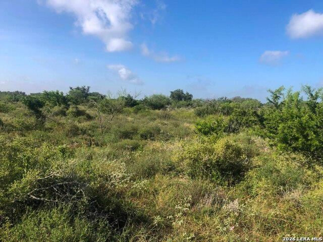 Land for sale in Bee, Texas