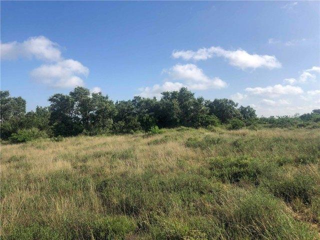 Land for sale in Bee, Texas