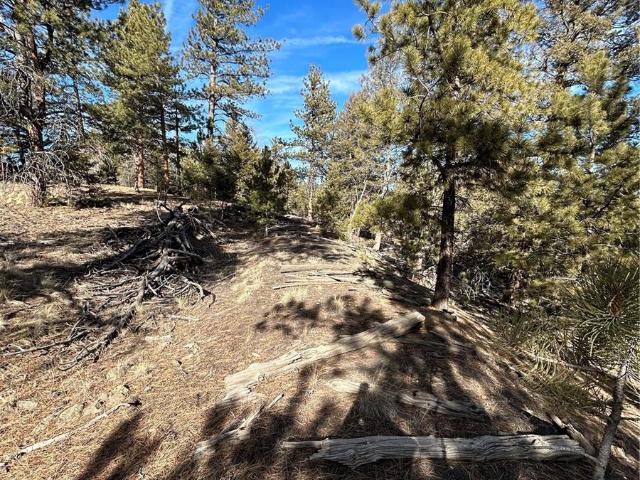 Land for sale in Hartsel, Park County