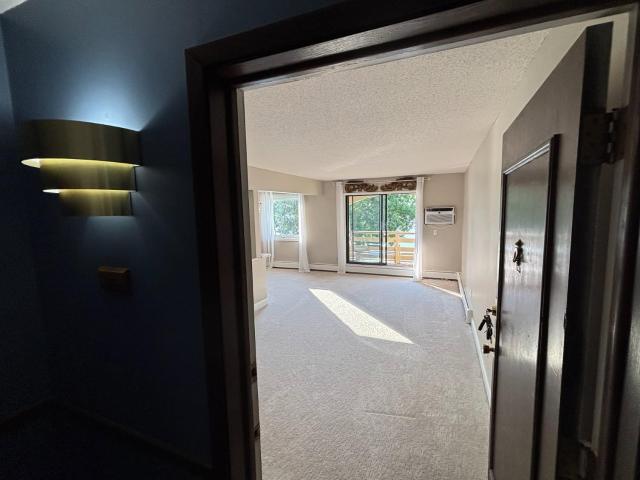 Condo for sale in Mound