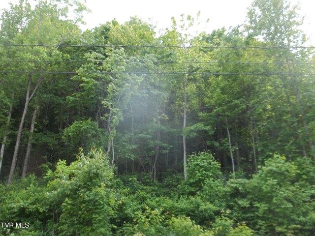 Land for sale in Tennessee