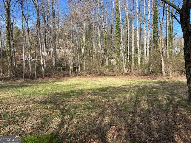 Commercial for sale in Clarkesville, Georgia