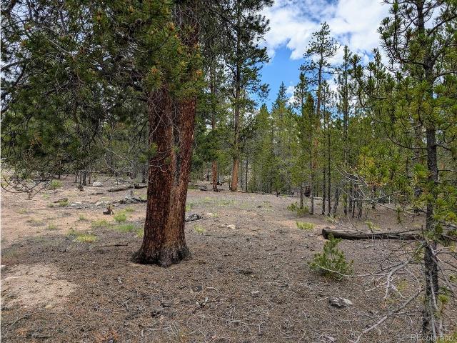 Land for sale in Twin Lakes, Colorado