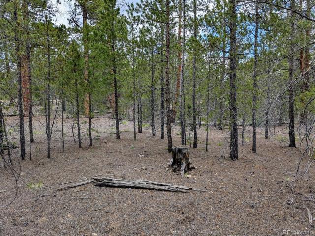 Land for sale in Twin Lakes, Colorado