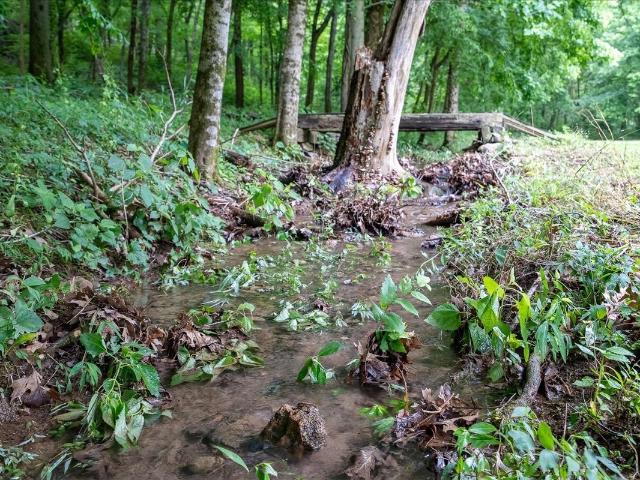 House for sale in Hollywood, Culleoka
