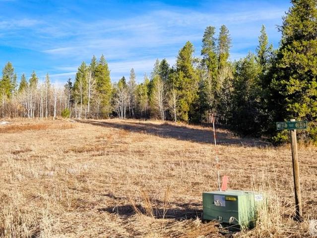 Land for sale in Ashton, Idaho