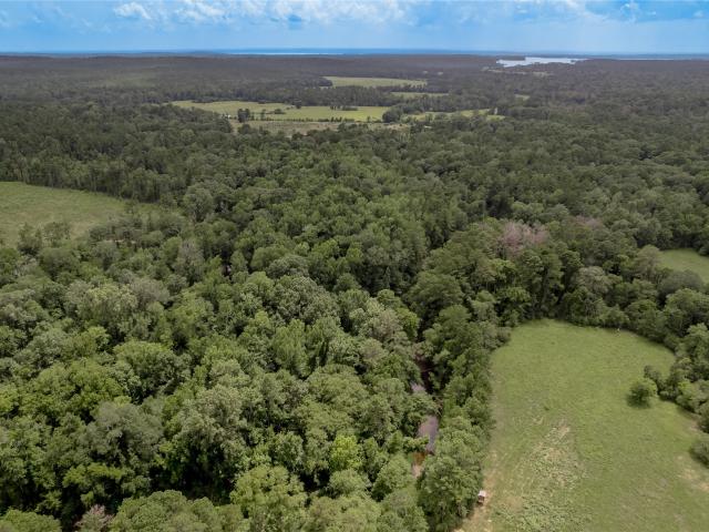 Land for sale in Groveton, Texas