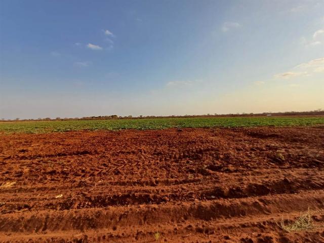 Farm for sale in Limpopo