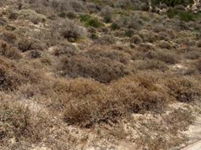 Land for sale in West Coast Village, City of Cape Town