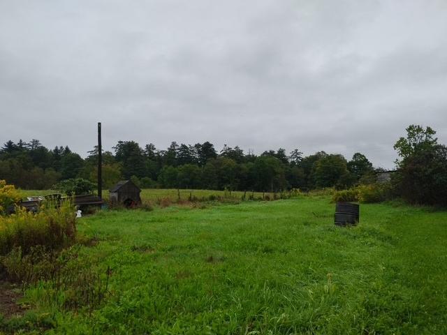 Land for sale in Village of Hobart, Town of Stamford