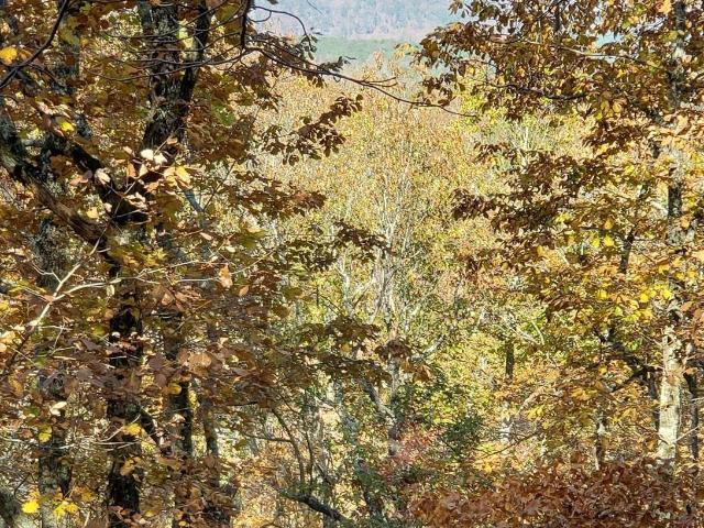 Land for sale in Birmingham, Alabama
