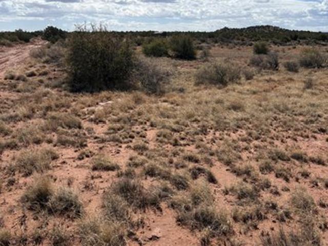 Land for sale in Navajo, Arizona