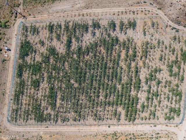 Land for sale in Aguanga, California