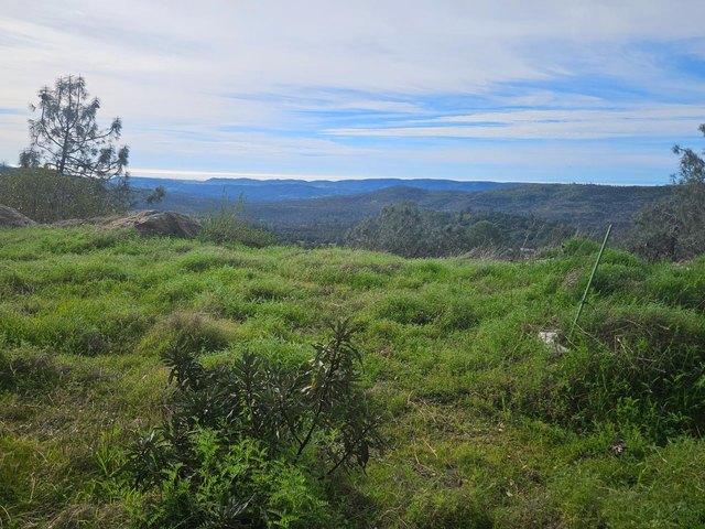 Land for sale in Angels Camp, California