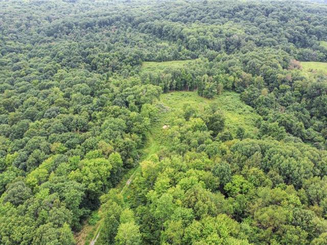 Land for sale in Wellsville, Ohio