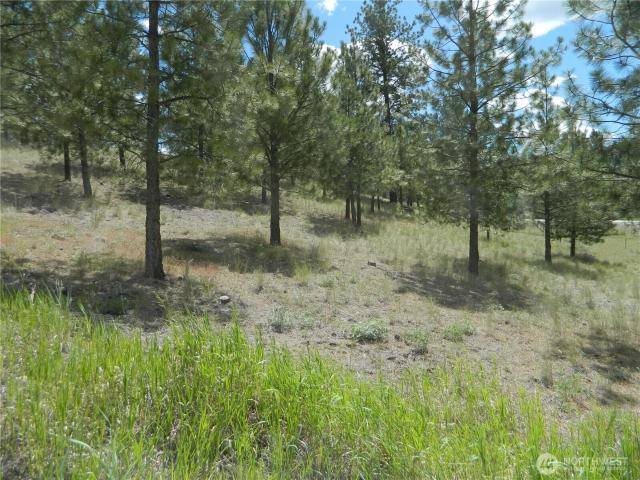Land for sale in Tonasket, Washington