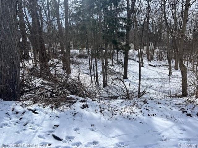 Land for sale in Auburn Hills, Michigan