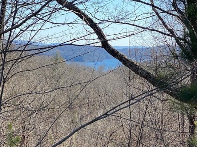 Land for sale in Gilmer, Georgia