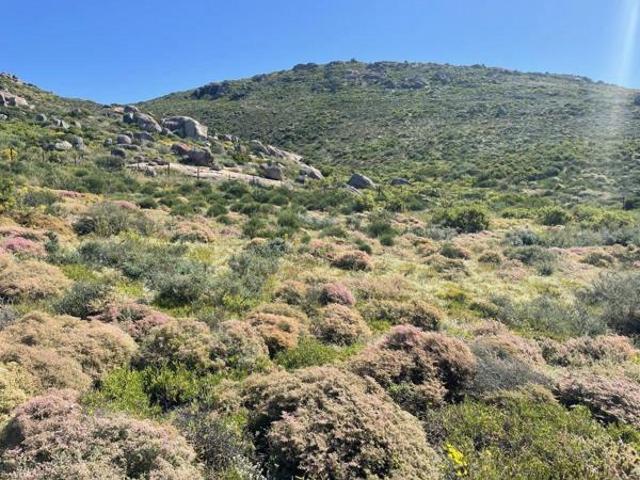 Land for sale in Western Cape