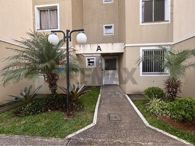 Apartamento aluguel em Cachoeirinha