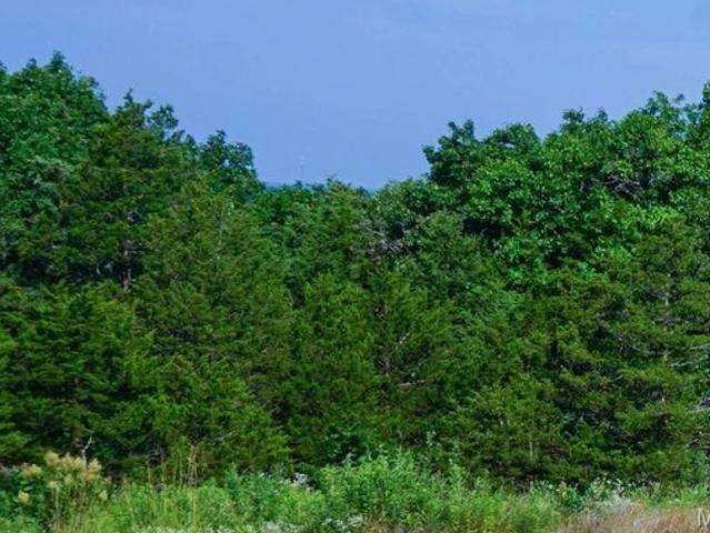 Farm for sale in Phelps, Missouri
