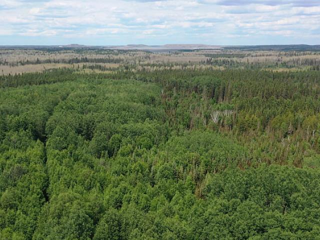 Land for sale in Wedgewood, Alberta