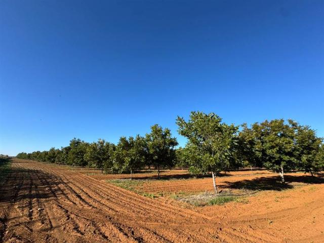 Farm for sale in Frances Baard, Northern Cape