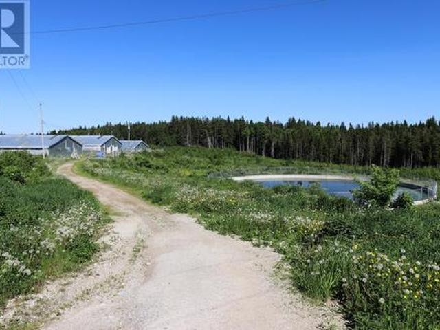 Farm for sale in Cormack, Newfoundland And Labrador