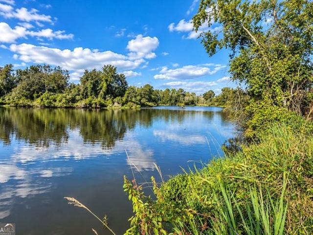 Land for sale in Rochelle, Wilcox County
