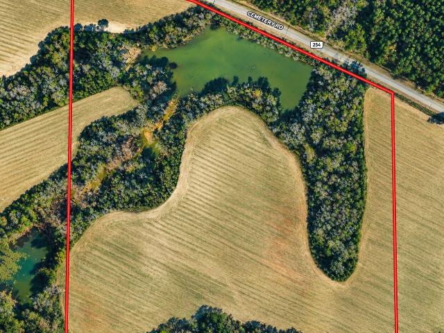 Land for sale in Rochelle, Wilcox County
