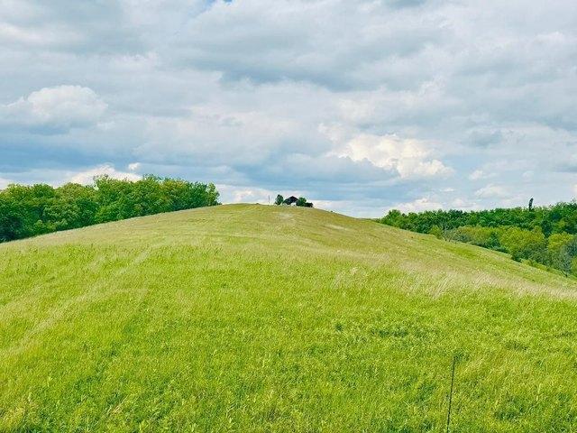 Land for sale in Williamstown, Kentucky