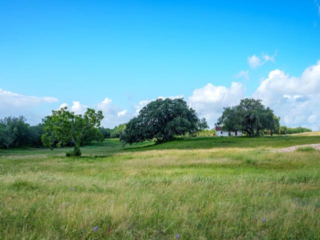 Farm for sale in Runge, Texas