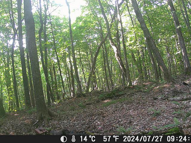 Land for sale in Sault Sainte Marie, Ontario