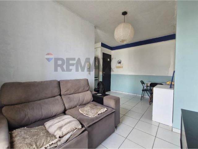 Apartamento aluguel em Região Geográfica Imediata de Belém, Região Norte