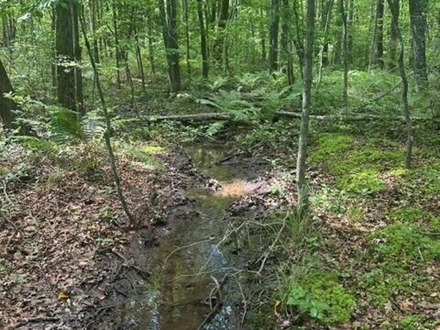 Land for sale in Tennessee