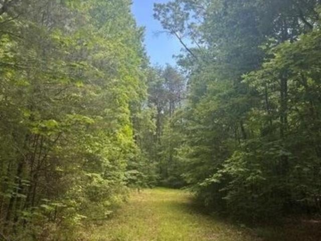 Land for sale in Tennessee