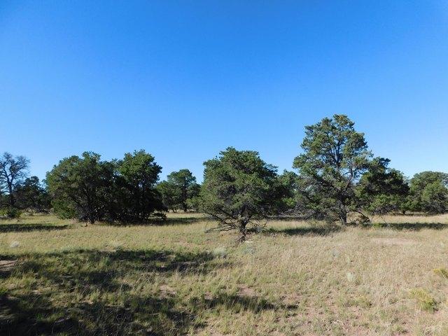Land for sale in Catron, New Mexico