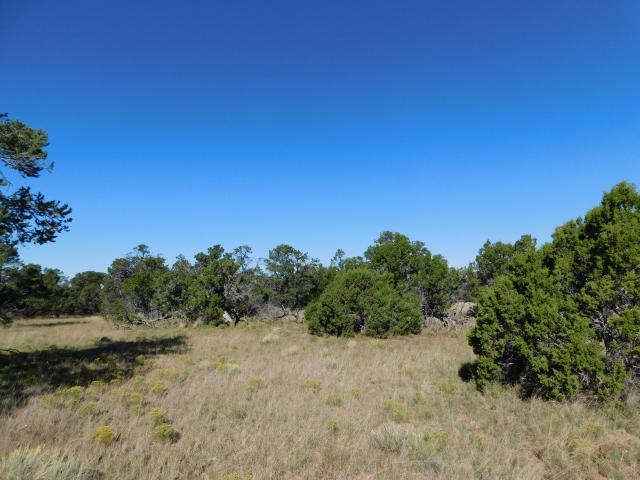 Land for sale in Catron, New Mexico