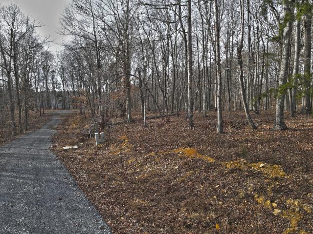 Land for sale in Russell Springs, Kentucky