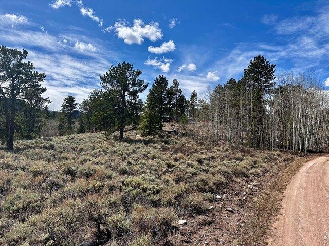 Land for sale in Red Feather Lakes, Colorado