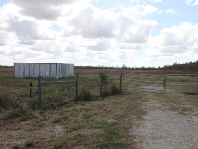 Land for sale in Liberty, Liberty County