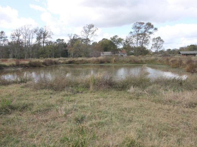 Land for sale in Liberty, Texas