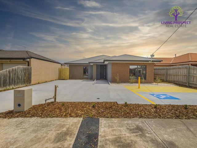 Room for rent in Victoria, Gisborne
