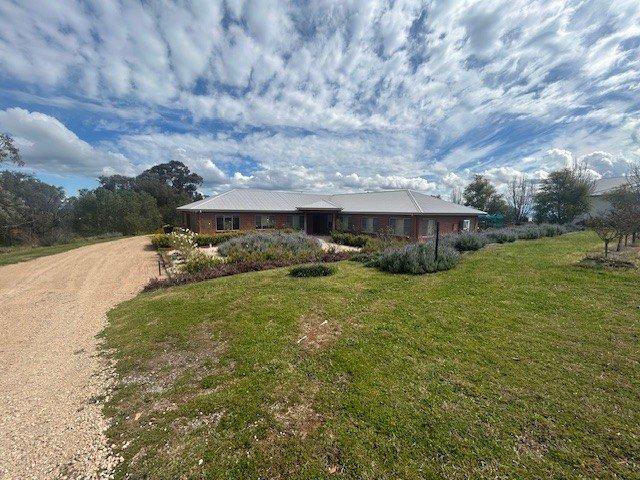 House for rent in North Tamworth, Tamworth