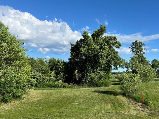 Land for sale in Ottertail, Minnesota